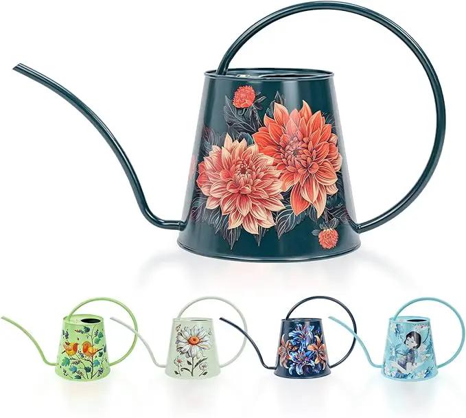 Berry&Bird House Plants Watering Can - Indoor & Outdoor 1/2 Gallon Stainless Steel Water Can with Long Spout Garden Decoration for Flower Bonsai Succulent Gardening Large Watwer Bottle(2L/68oz,Dahlia) by GreenHaven Gardens