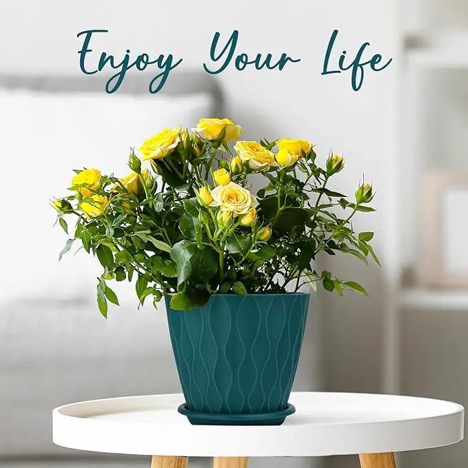 6 inch Plant Pots, 5 Pack Flower Pots Outdoor Indoor, Planters with Drainage Hole and Tray Saucer. by GreenHaven Gardens