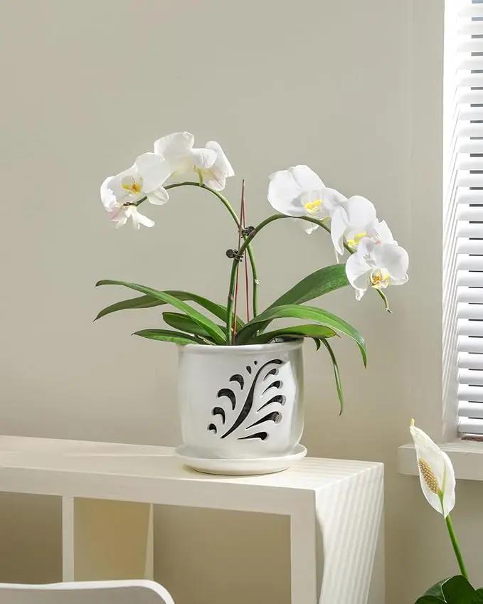 Ceramic Orchid Pot, 6 Inch Orchid Pots with Holes and Saucer for Indoor/Outdoor Plants Drainage & Air Circulation, White Orchid Planter for Repotting or New Plants by GreenHaven Gardens