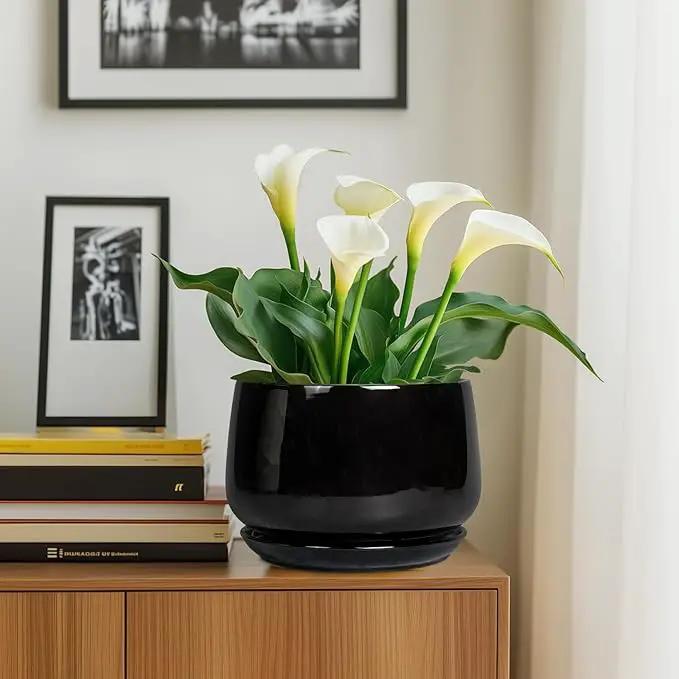 G EPGardening Ceramic Plant Pots - 9 Inch Round Planter, Ceramic Pots for Plants with Drainage and Tray, Flower Indoor Outdoor Planter, Modern Desk Decor, Plant Lover Gifts, Black by GreenHaven Gardens