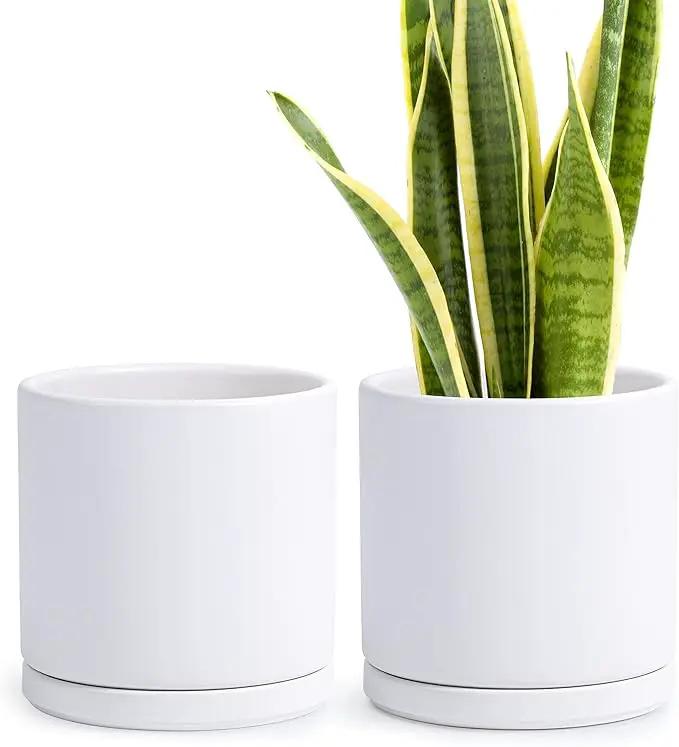 D'vine Dev Set of 2 Plants Pots, 8 Inch Ceramic Planter Pot for Plants with Drainage Hole and Saucer, White, 94-V-D-1 by GreenHaven Gardens