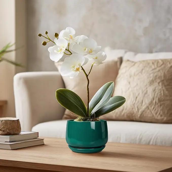 G EPGardening 4 inch Plant Pots - Small Ceramic Planter with Drainage Hole & Tray, Succulent Pots Indoor Outdoor, Round Modern Planter, Decorative Flower Pot, Desk Decor, Gifts for Plant Lover, Green by GreenHaven Gardens