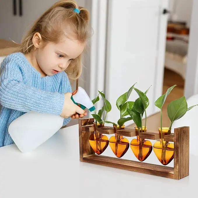 Plant Propagation Stations Heart Plant Terrarium Kit Gift for Women Plant Lover Glass Vases by GreenHaven Gardens