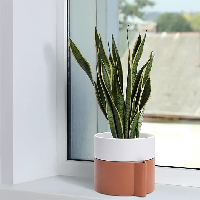 8 Inch Self-Watering Planter Pot with Terracotta Insert, Deep Water Reservoir, and Ceramic-Alike BPA-Free Plastic Planter Pot for Plant, Modern Planter for Houseplants, Terracotta/White, 53-B-T-6 by GreenHaven Gardens