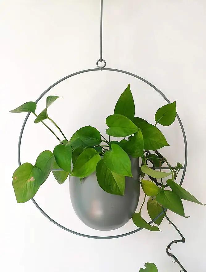 Boho Green Metal Plant Hanger,Metal Wall and Ceiling Hanging Planter, Modern Planter, Mid Century Flower Pot Plant Holder, Minimalist Planter for Indoor Outdoor Home Decor by GreenHaven Gardens