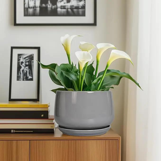 G EPGardening Ceramic Plant Pots - 9 Inch Modern Round Planter with Drainage and Plant Saucer for Indoor Outdoor Flower, Apartment Decor, Birthday Gifts, Grey by GreenHaven Gardens