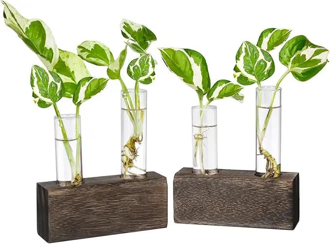 Ivolador Plant Propagation Stations 4 Test Tube Plants Terrariums in Wooden Stand Gifts for Plant Lovers for Hydroponic Plants Office Home Decor Hydroponic Vase Gift Box 2 Sets by GreenHaven Gardens
