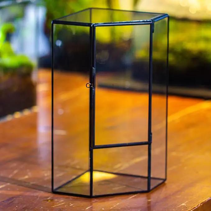 NCYP Front Opening Glass Terrarium with Door for Succulents, Small Plants - Closed Geometric Container Planter, Indoor Tabletop Wall Corner Landscape Decor, Black, 5" x 5" x 9.8" (Terrarium Only) by GreenHaven Gardens