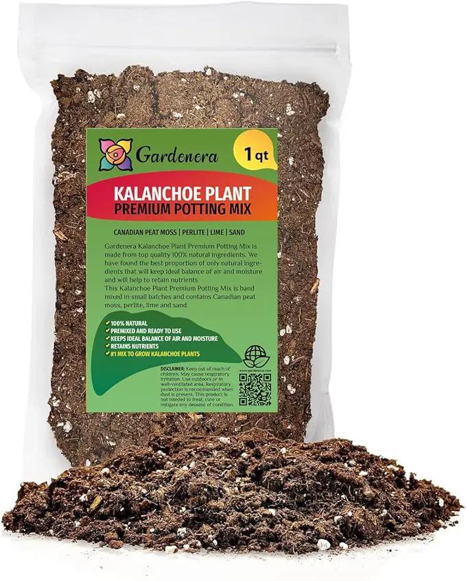 Kalanchoe Plant Premium Potting Mix - Optimize Growth with Natural Ingredients - 1 Quart by GreenHaven Gardens