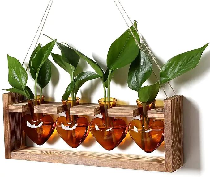 Plant Propagation Stations Heart Plant Terrarium Kit Gift for Women Plant Lover Glass Vases by GreenHaven Gardens
