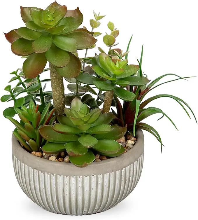 DILATATA Small Faux Plant Assorted Fake Succulents Plants Faux Succulents Arrangement Cement Potted Desk Plants Small Fake Plants for Home Table Office Bathroom Shelf Living Room Decor by GreenHaven Gardens