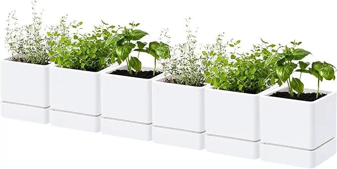 4 Inch Herb Planter Pot, Plastic Planter with Drainage Holes and Saucer, Modern Decorative Gardening Pot for Indoor Plants, Flowers, Herbs, Succulents, White, Set of 6, 76-Y-A-6 by GreenHaven Gardens