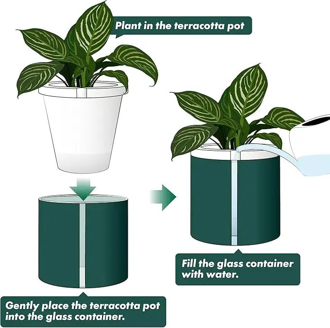 D'vine Dev 10 Inch Design Self Watering Planter for Indoor Plants, White Terracotta Pot with Teal Cylinder Glass Cup, 37-X-D-5 by GreenHaven Gardens