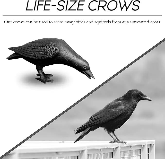 NACH Cast Iron Crow Statue, Head Down Raven, Large Garden Statues, Crow Garden Sculpture, Bird Figurines Home Decor, Crow Decor, Raven Decor, Black Bird Statue, 10 x 3.5 x 6 inches, JS-90-7117 by GreenHaven Gardens