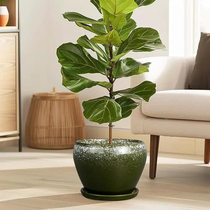 8 Inch Plant Pot - Ceramic Planter with Drainage Hole and Saucer, Modern Flower Pot for Glazed Indoor Plants Outdoor, Dark Green by GreenHaven Gardens