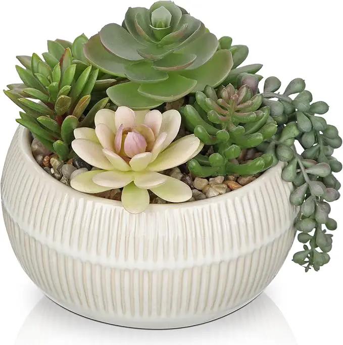DILATATA Artificial Succulent Plants in Pot 5.5 Inch Fake Succulents Arrangement Potted Plant in White Ceramic Planter Bowl for Home Office Desk Shelf Living Room Bedroom Bathroom Decor by GreenHaven Gardens