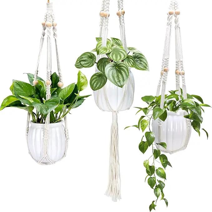Small Hanging Planters Self Watering 5 Inch, 3 Set Hanging Plant Pot for Indoor Outdoor Plants, Hanging Flower Pots with Drainage Hole & 2 Kinds of Plant Hangers for Garden Home Decor by GreenHaven Gardens