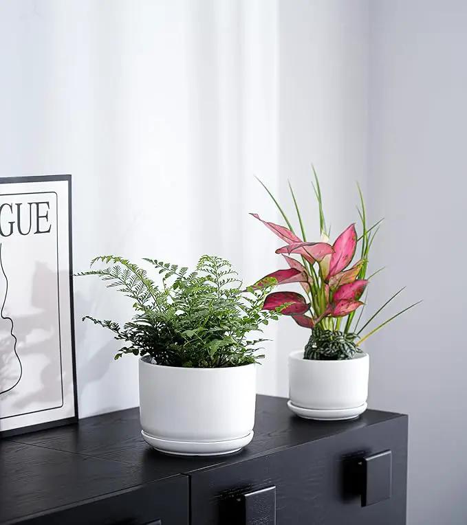 Ton Sin Plant Pots, 4.1+5.1+6.5 inch, Set of 3, Ceramic Planters with Drainage Hole and Saucer, Indoor Flower Pot with Hole Mesh Pad, Gifts for Mom(Matte White) by GreenHaven Gardens