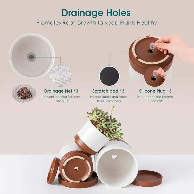 vancasso Ceramic Plant Pots, 3 Piece Planters for Indoor Plants, 4.25+5.25+6.25 Inch Flower Pots with Drainage, Plant Pots Indoor for Succulent, Pothos, Snake Plant and Money Tree, Etc (Khaki) by GreenHaven Gardens