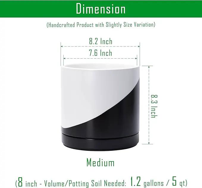 D'vine Dev 8.2 Inch Ceramic Planter Pot with Drainage Hole and Saucer, Indoor Cylinder Round Planter Pot, Oblique Monochrome Black and White, 94-O-D-K by GreenHaven Gardens