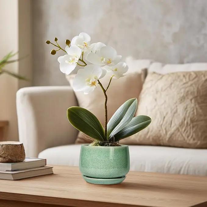 G EPGardening Ceramic Plant Pot - 4 inch Plant Pots with Drainage Hole & Saucer, Small Pots for Plant Indoor Outdoor, Modern Round Planter, Decorative Flower Pot, Room Decor, House Warming Gift, Green by GreenHaven Gardens