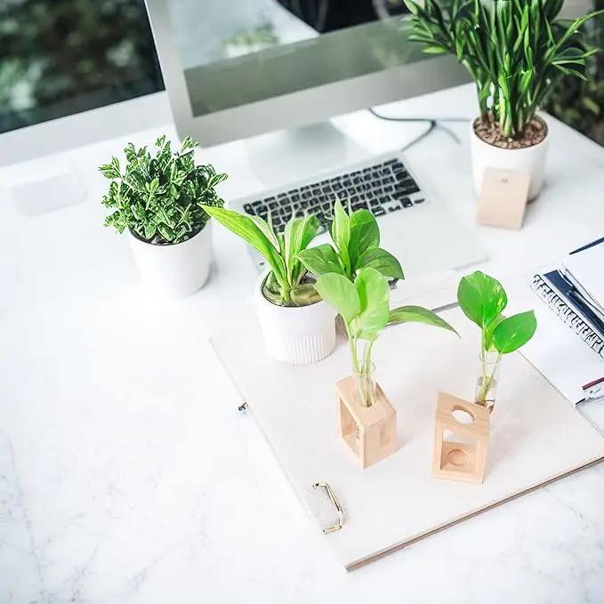 Ivolador Plant Propagation Station, Plant Propagation Tubes,Gifts for Plant Lovers,Plants Cutting Holder Office Desk Garden Décor Gifts for Mom Women Hydroponic Vase Gift Box by GreenHaven Gardens