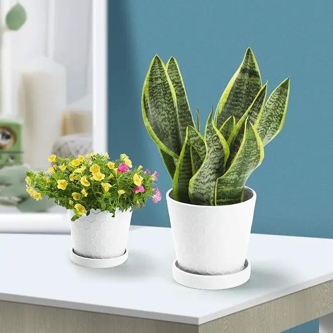 Ceramic Plant Pots,4+5+6 Inch Pots for Indoor Plants,Planters with Drainage Holes and Ceramic Tray, Indoor Flower Pots Gardening Home Desktop Office Windowsill Decoration Gift,Set of 3 (White) by GreenHaven Gardens