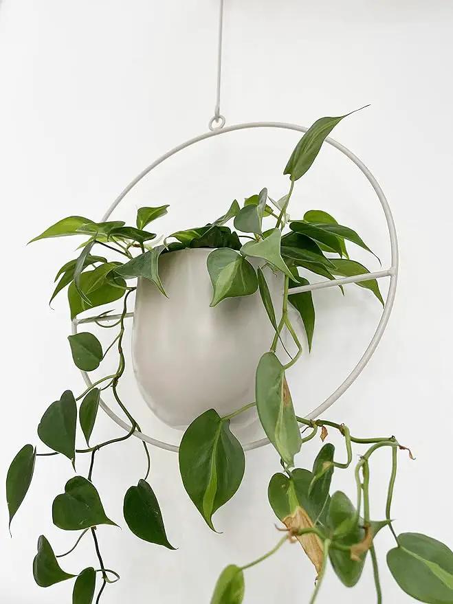 Boho White Metal Plant Hanger,Metal Wall and Ceiling Hanging Planter, Modern Planter, Mid Century Flower Pot Plant Holder, Minimalist Planter for Indoor Outdoor Home Decor… by GreenHaven Gardens