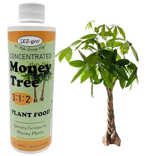 EZ-GRO Professional Liquid Money Tree Fertilizer - 8 oz | Liquid Fertilizer for Money Tree & Houseplants | 3:1:2 Ratio of Concentrated Nutrients for Indoor Plant Food by GreenHaven Gardens
