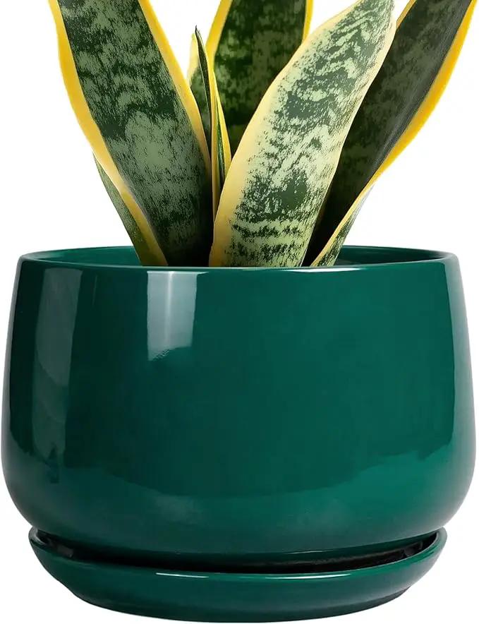 G EPGardening Ceramic Planter for Indoor Plants - 7 Inch Plant Pot, Round Planter with Drainage and Saucer, Round Flower Pots for Outdoor, Modern Desk Decor, Gift for Women Men, Green by GreenHaven Gardens