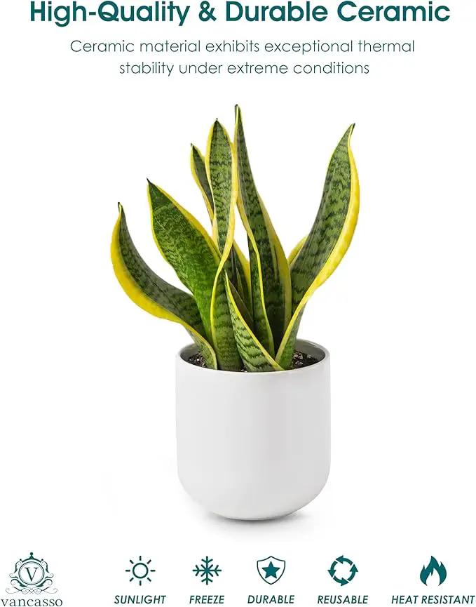 vancasso 6 Inch Ceramic Plant Pots, Planters with Drainage Hole, Flower Pots Planters Pots for Indoor Plants, Modern Indoor Decorative Garden Pot, Home Decor, White by GreenHaven Gardens