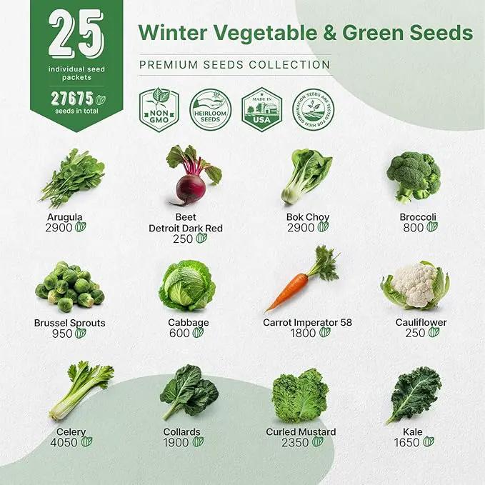 Organo Republic 25 Winter Vegetable & Green Seeds Variety Pack for Outdoors & Indoor Home Gardening 27670+ Non-GMO Heirloom Seeds: Broccoli Beet Carrot Collard Lettuce Radish Spinach Pea Kohlrabi by GreenHaven Gardens