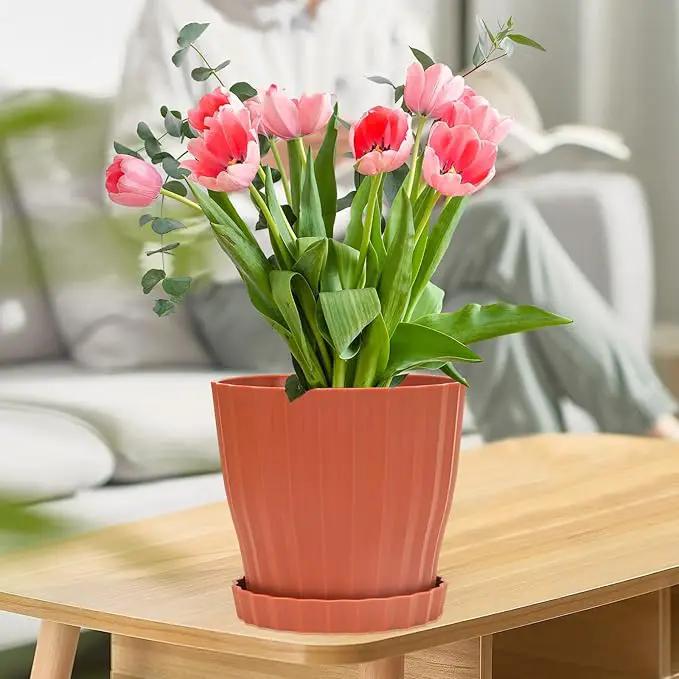 Plastic Flower Pots, 5 Pack 6 inch Indoor Plant Pots Planters for Outdoor Plants Flowers Garden Patio Home Nursery Decor Gifts,Large Succulent Pots with Drainage Tray Saucer & Hole Terracotta by GreenHaven Gardens