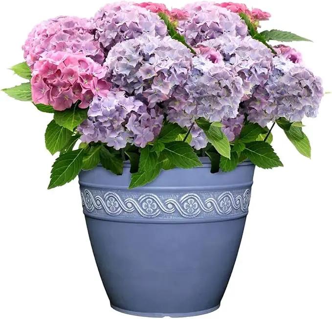 Classic Home and Garden Corinthian Resin Flower Pot Planter, Slate, 10" by GreenHaven Gardens