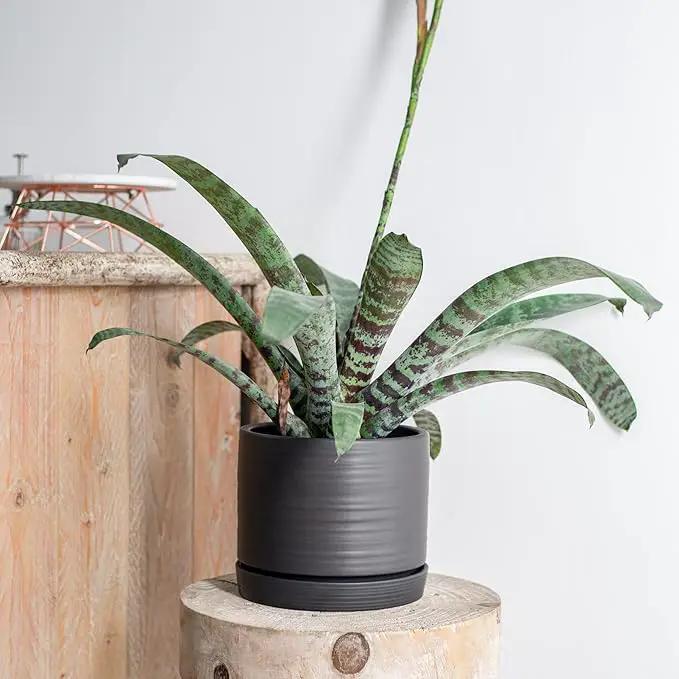 8 Inch Pots for Plants, Ceramic Planter Pot with Drainage Hole & Saucer, Indoor/Outdoor Cylinder Round Planter Pot, Matte Black by GreenHaven Gardens
