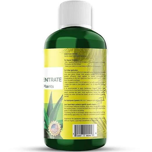 Organic Premium Kelp Seaweed Fertilizer - Liquid Hydroponics Fertilizer - Liquid Plant Food - Nutrient-Rich Soil Enhancer - Natural Plant Food for Aloe Vera (16 OZ) by GreenHaven Gardens