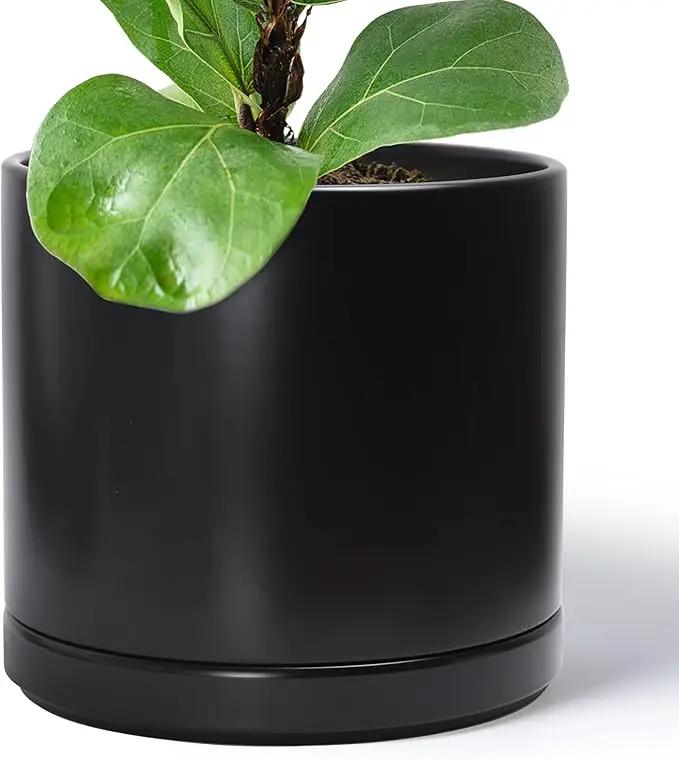 D'vine Dev 14 Inch Ceramic Planter Pot with Drainage Hole and Saucer, Indoor Cylinder Round Planter Pot, Black, 94-O-G-2 by GreenHaven Gardens