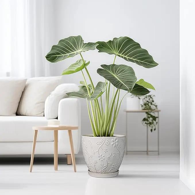 10 Inch Plant Pot Ceramic Planter Pot with Drainage Hole and Saucer Round Planter Large Flower Pot for Indoor Outdoor Plants Home Garden Decor White by GreenHaven Gardens