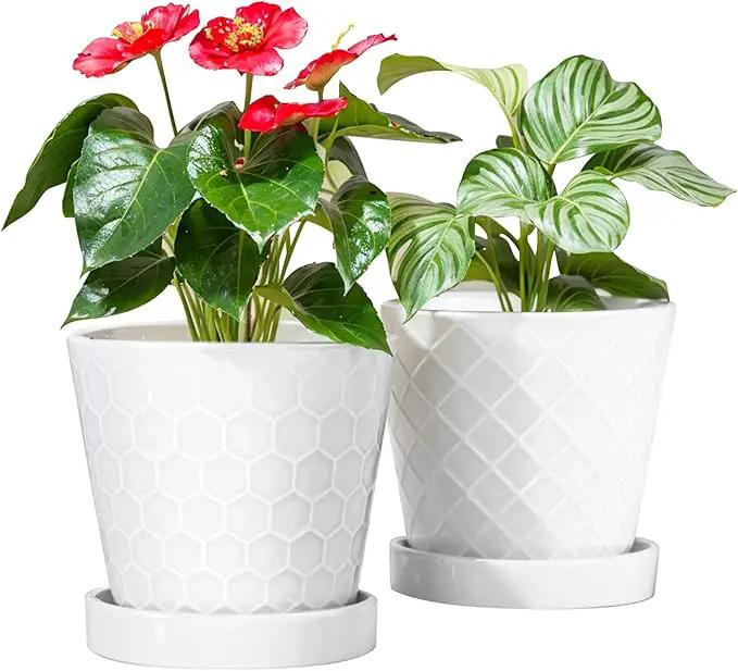BUYMAX Plant Pots Indoor –6 inch Ceramic Flower Pot with Drainage Hole and Ceramic Tray - Gardening Home Desktop Office Windowsill Decoration Gift, Set of 2(White) by GreenHaven Gardens
