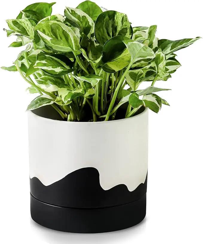 Nihow Ceramic Plant Pot: 6 Inch Planter with Drainage Hole & Saucer for Indoor & Outdoor Plants - Cylinder Round Flower Pot for Succulent/Herbs/Violets - White & Wave Black by GreenHaven Gardens