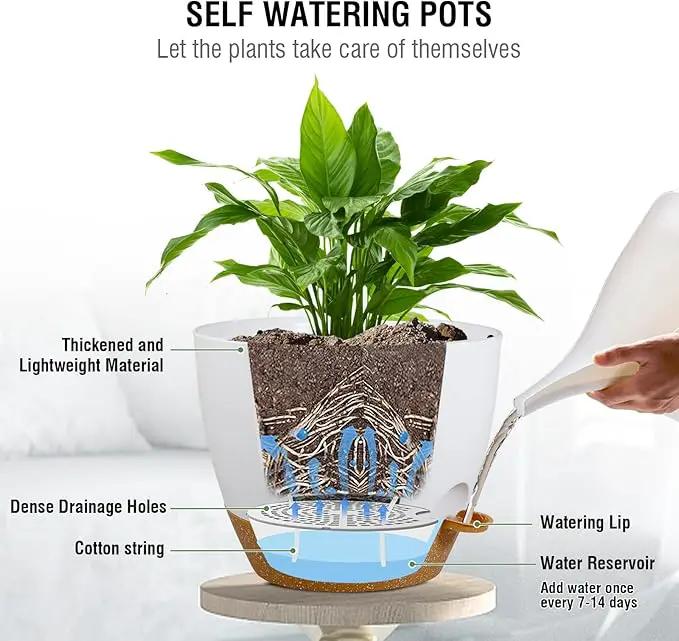 Self Watering Hanging Planters 10 inch, 2 Pack Hanging Baskets for Indoor Outdoor Plants, Hanging Flower Pots with Drainage Holes & 2 Kinds of Plant Hangers for Garden Home Décor, White Brown by GreenHaven Gardens