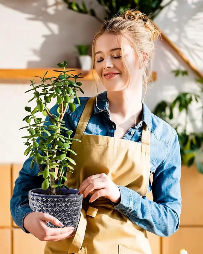 Plant Pots, Flower Pots, Planters for Indoor Plants(6.5+5.5inch), Flower Pots for Indoor Plants with Drainage Hole and Saucer, Ceramic Pots for Plants with Hole Mesh Pad,Reactive Glaze Blue by GreenHaven Gardens