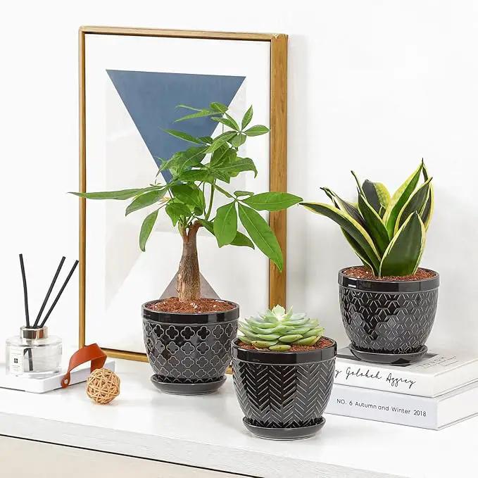 Sureasy Ceramic Indoor Plant Pots - 5.6 Inch Flower Pots for Plants with Drainage Hole and Saucer, Embossed Planter for Succulents, Orchid, Cactus, Indoor Home Decor, Set of 4, Black by GreenHaven Gardens