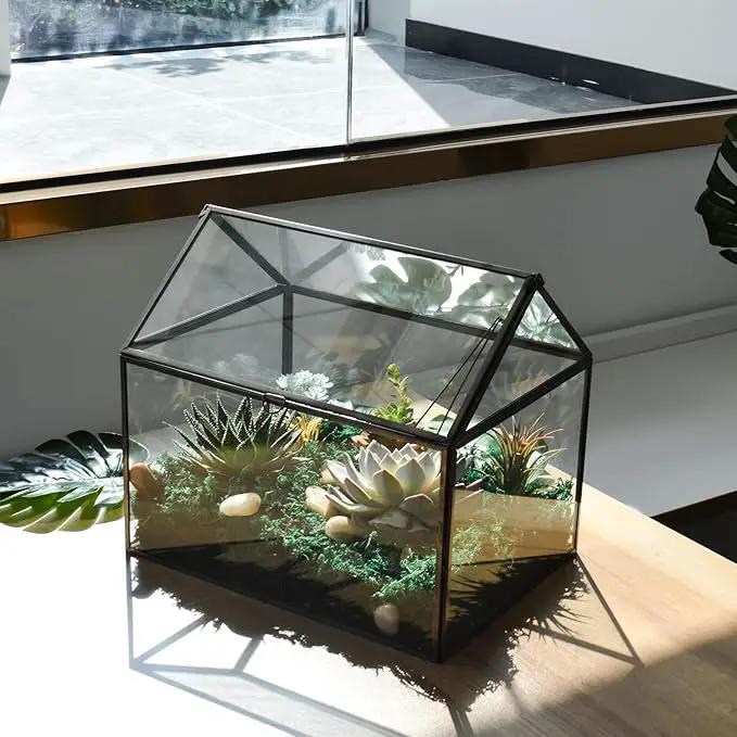 Black 1 Large Glass Plant Terrarium Kit with Lip Greenhouse for Succulents by GreenHaven Gardens