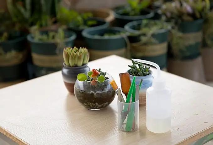 Ginsco 7pcs Succulent Transplanting Miniature Fairy Garden Planting Gardening Hand Tools Set by GreenHaven Gardens
