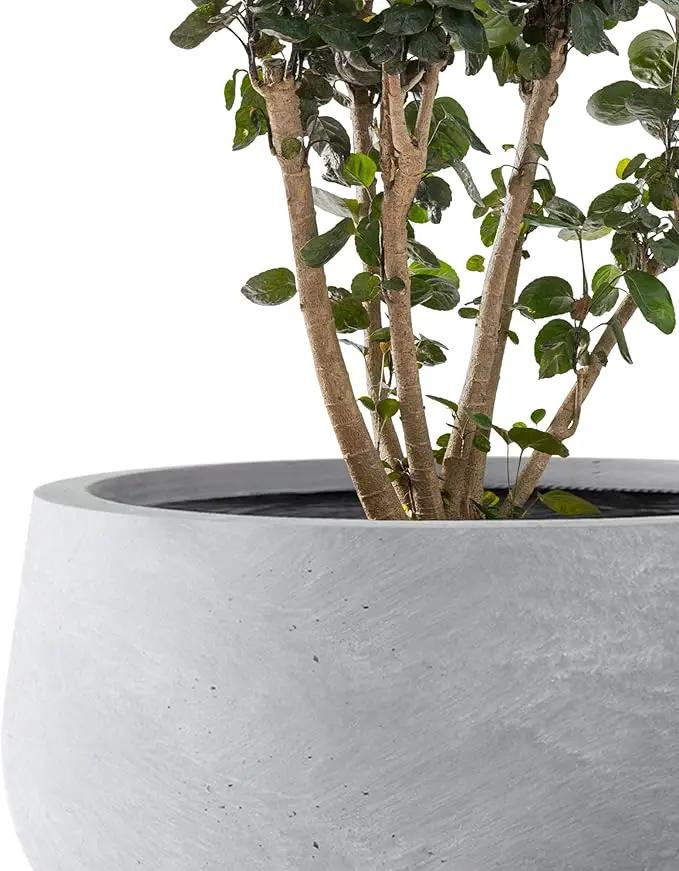 Kante 11.8" Dia Round Concrete Planter, Cement Plant Pots with Drainage Hole and Rubber Plug for Outdoor Indoor Garden Home, Modern Curvaceous Design, Gray by GreenHaven Gardens