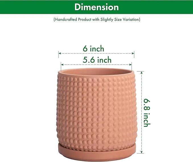 D'vine Dev Set of 2 Ceramic Plants Pots, 6 Inch Beaded Stoneware Flower Pot for Plants with Drainage Hole and Saucer, Terracotta, 27-E-X-7 by GreenHaven Gardens
