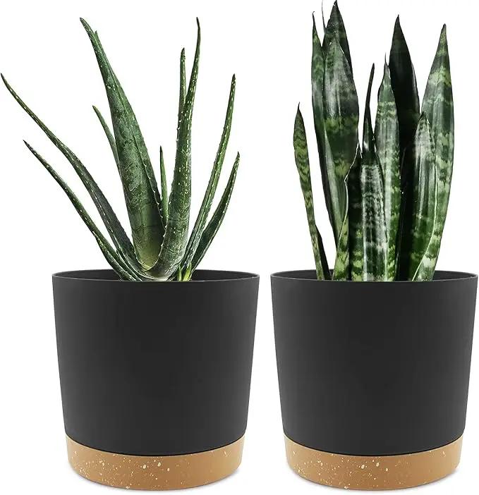 QCQHDU 8 inch Plant Pot, 2 Pack Planters for Indoor Plants with Drainage Holes & Saucer, Outdoor Flower Pots Home Garden Modern Decor by GreenHaven Gardens