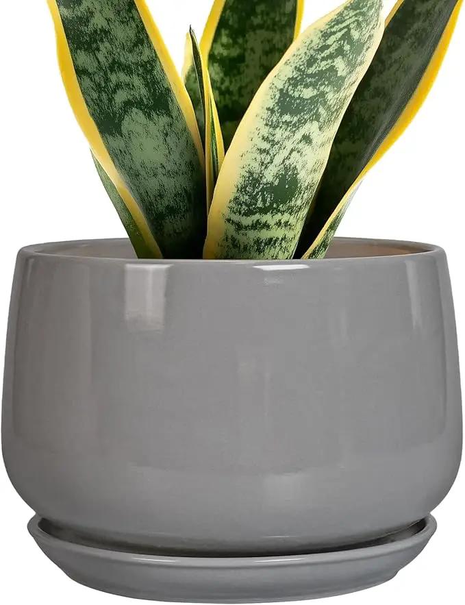 G EPGardening Modern Ceramic Planter - 7 Inch Round Modern Plant Pot Indoor with Drainage and Ceramic Tray Indoor Outdoor for Flower, Vanity Decor, Birthday Gifts, Grey