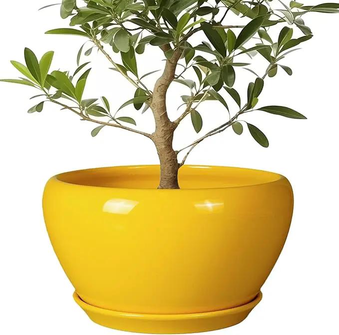 Ceramic Planter for Indoor Plants - 13 Inch Mid-Century Decorative Modern Large Plant Pot with Drainage Hole and Saucer, Home Balcony House Garden Patio Room Office Decor, Yellow by GreenHaven Gardens